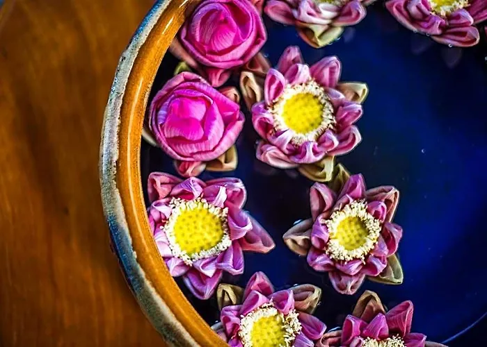 Hotel Lavender Angkor Boutique
