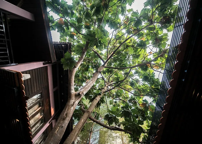 Lavender Angkor Boutique 4*